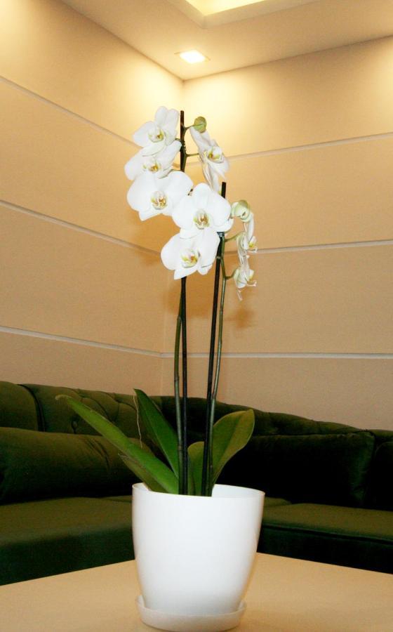 Apartment Jasmine 2 เบลเกรด ภายนอก รูปภาพ
